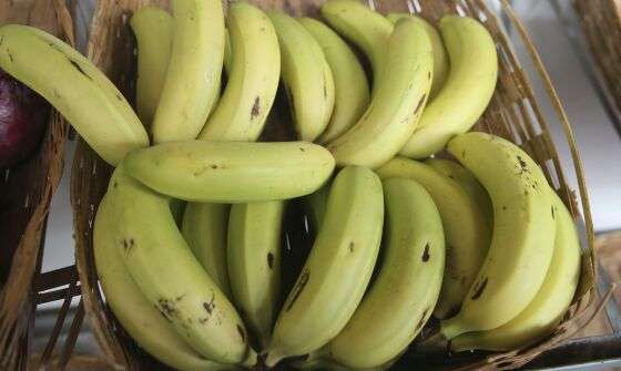 banana