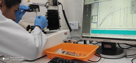 Testes em laboratório das películas biodegradaveis 