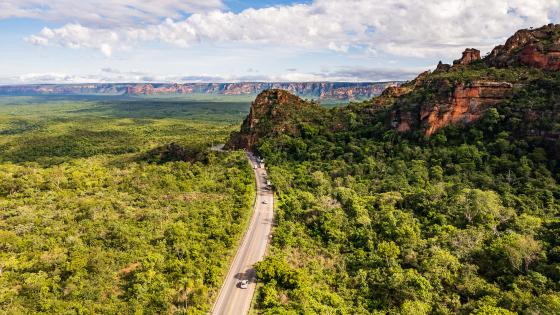 chapada