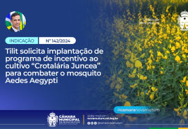 Tilit solicita implantação de programa de incentivo ao cultivo “Crotalária Juncea” para combater o mosquito Aedes Aegypti