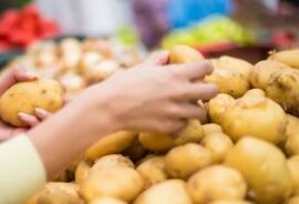 Batata, banana, laranja e melancia estão mais baratas, segundo dados da Conab