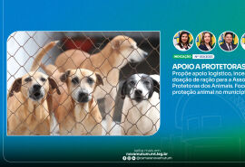 Vereadores propõem programa de apoio à proteção animal em Nova Mutum
