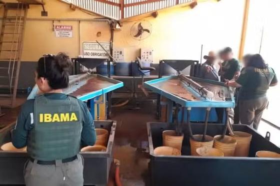 Operação Almadén, deflagrada no início deste mês pelo Ibama 
