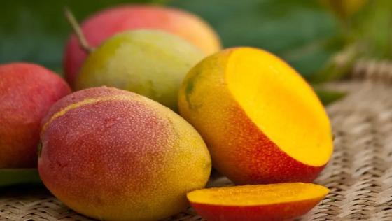 Manga, uva e polpa de açaí representam 90% do total exportado para os EUA