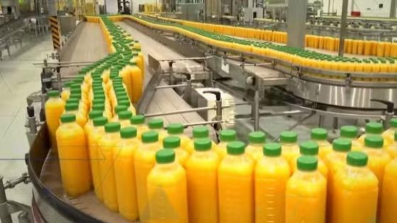 Trump assina decreto e oficializa tarifaço de 50% contra o Brasil