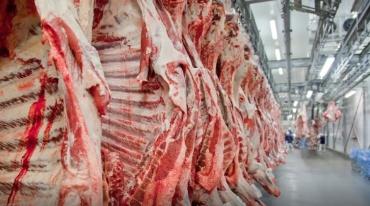Exportação de carne bovina bate recorde em mês anterior ao tarifaço