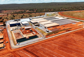 Fábrica inaugurada pelo Governo Federal irá produzir combustível sustentável extraído do óleo da bocaiúva