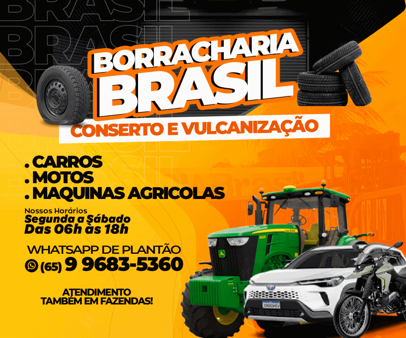 BORRACHARIA BRASIL